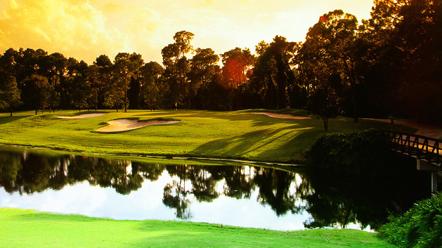 Disney Golf