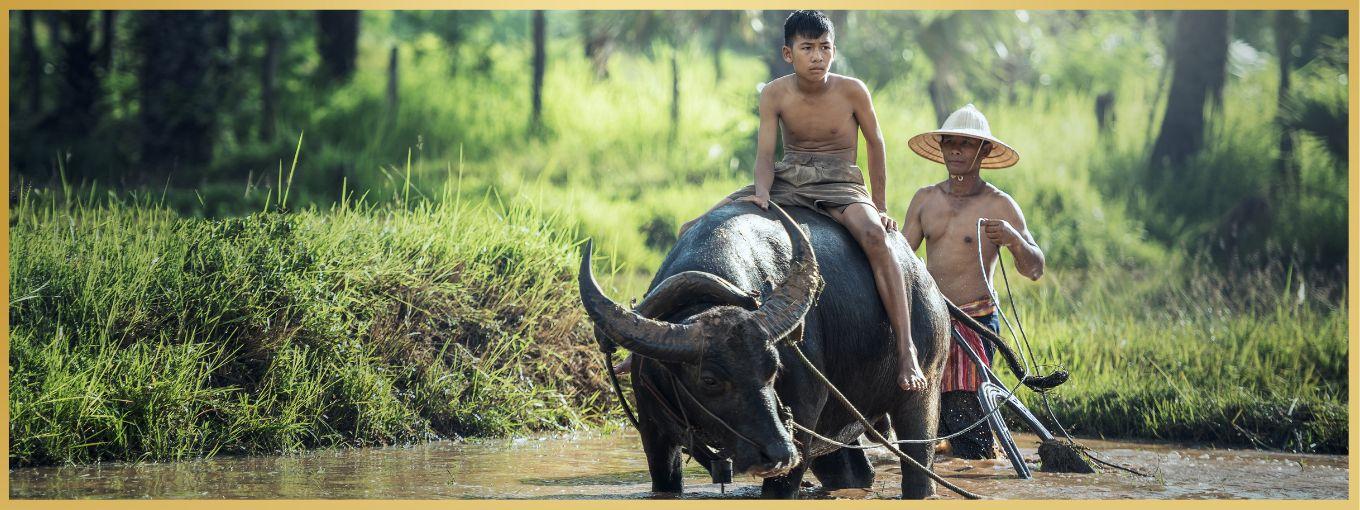 Cambodia