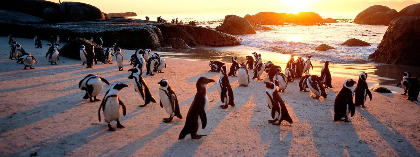 South Africa