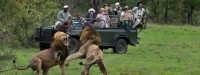 South Africa